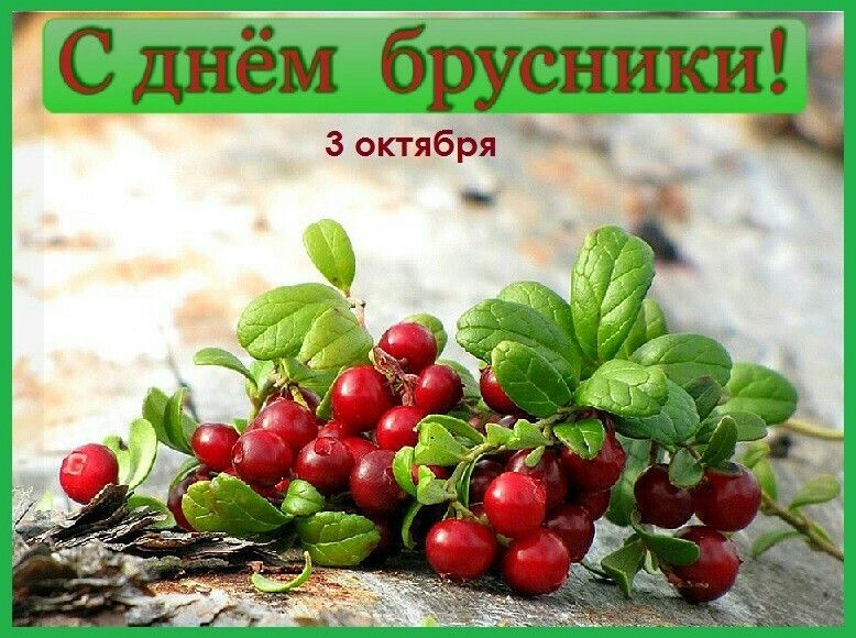 День брусники