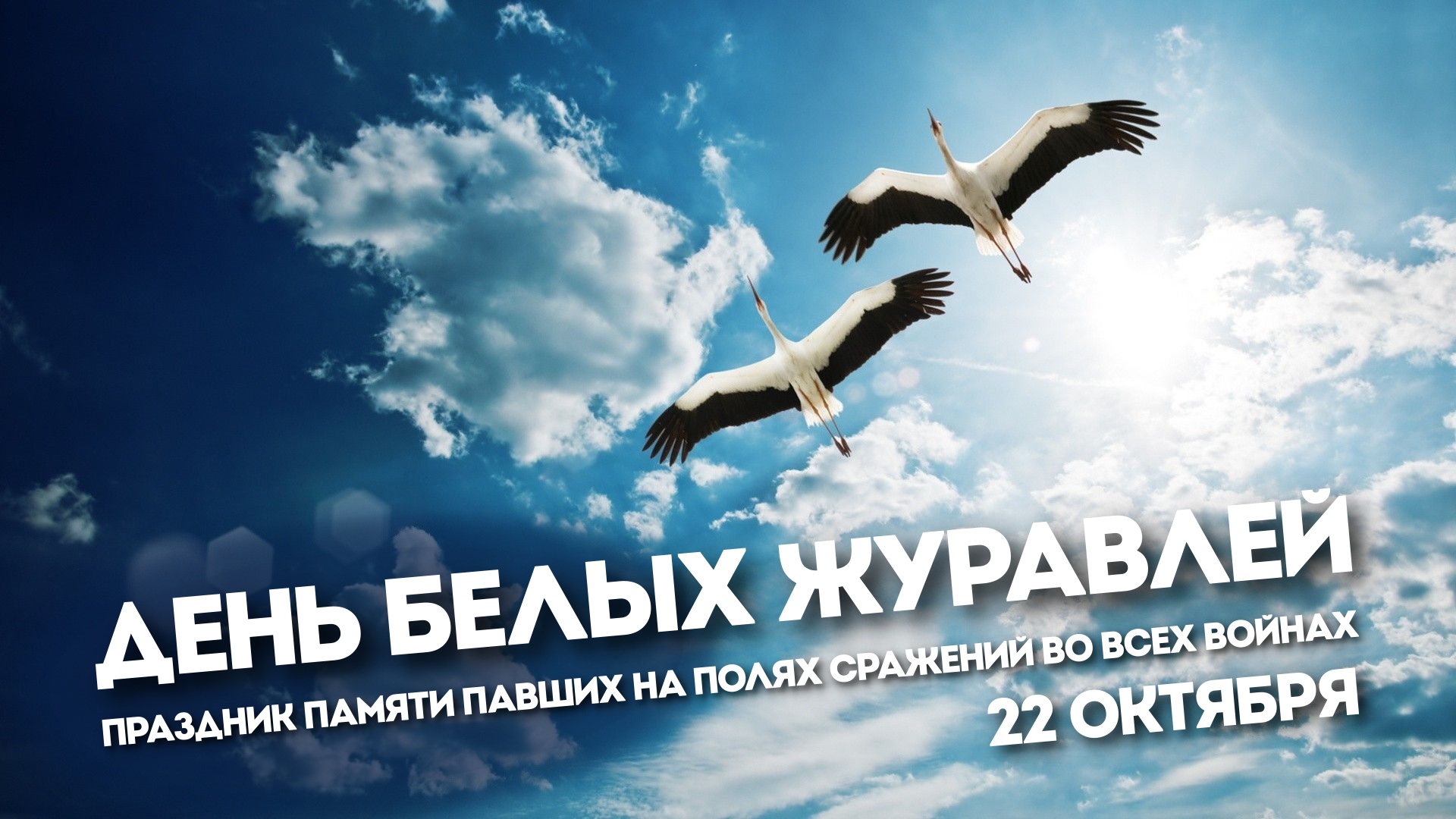 День Белые журавли 22 октября праздник