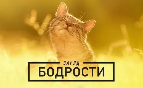 День будь прикольным