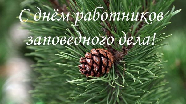 День работников заповедного дела