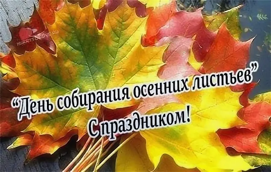 День собирания осенних листьев