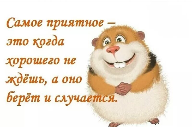 Как отмечают День приятных неожиданностей