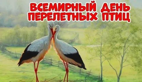 Всемирный день перелётных птиц (осенняя волна)